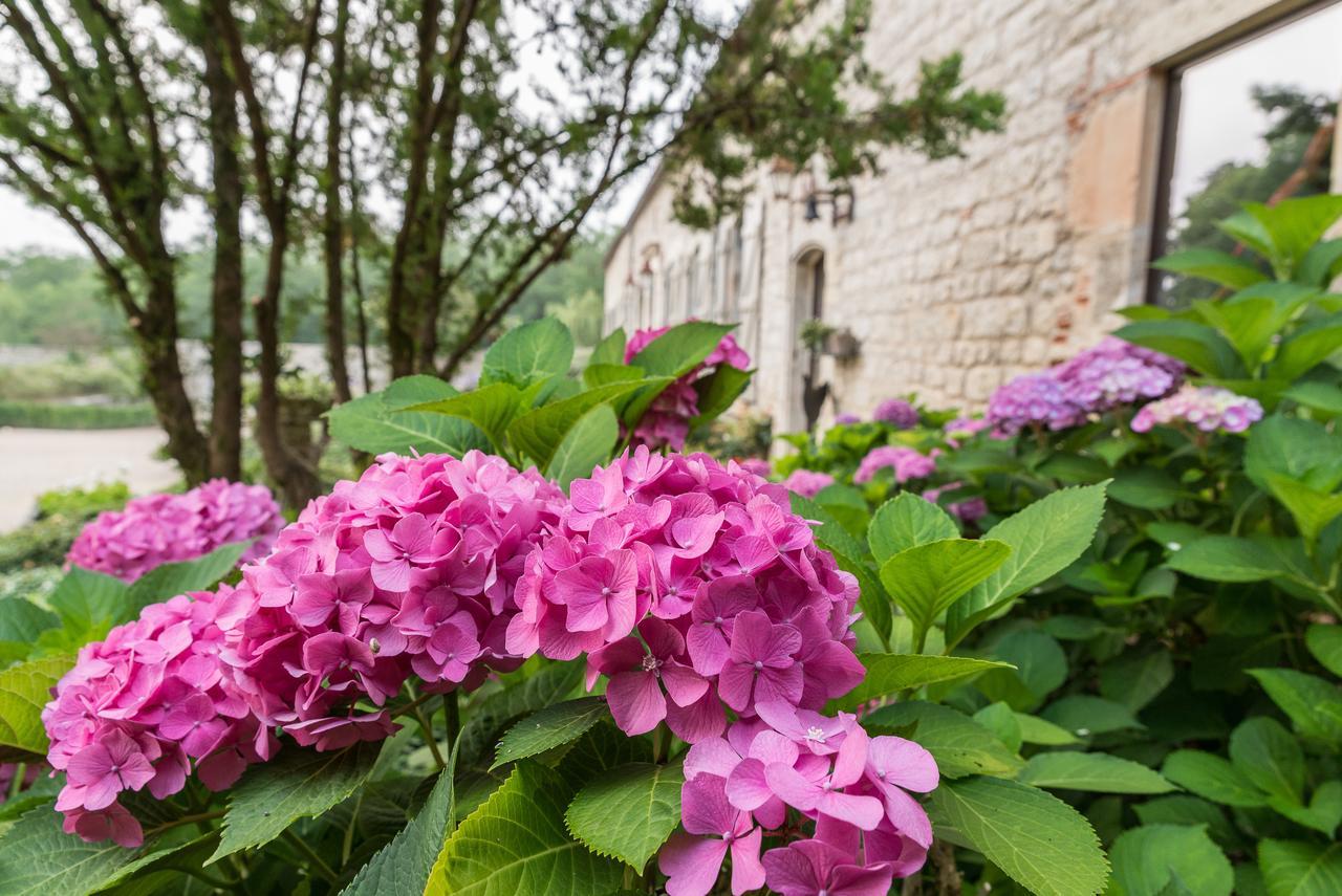 Domaine De Labarthe * Espere